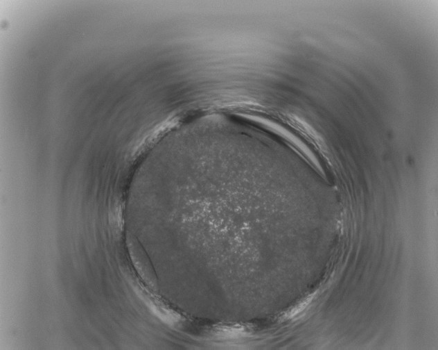 X0000065260405200602211255