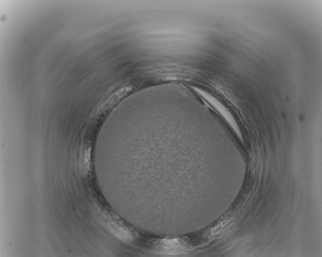 X0000065260406200602211255