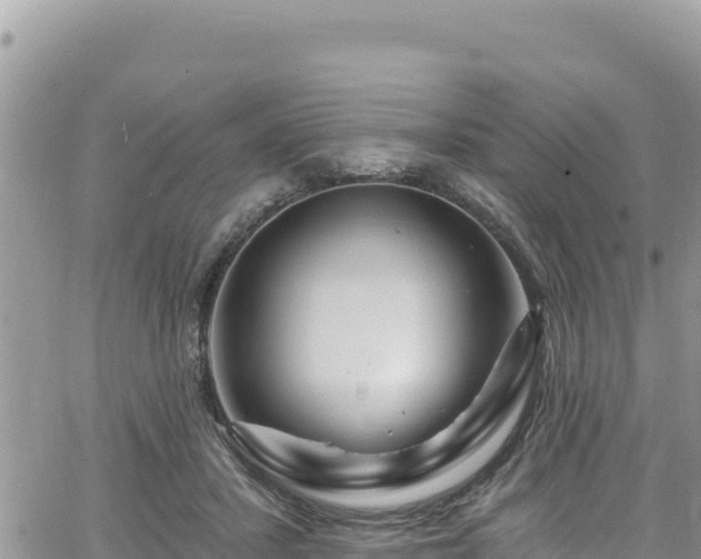 X0000065260407200602211255