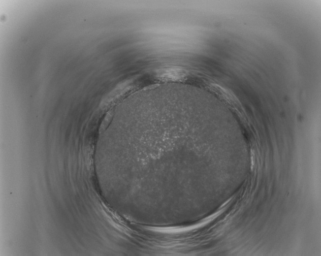 X0000065260409200602211255