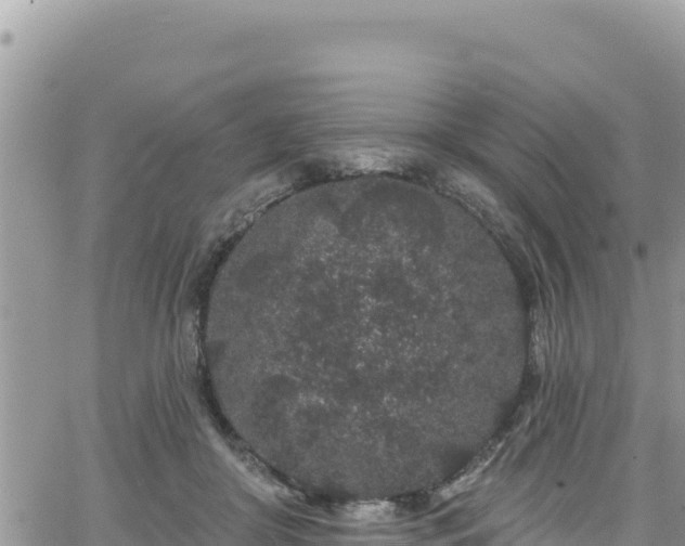 X0000065260410200602211255