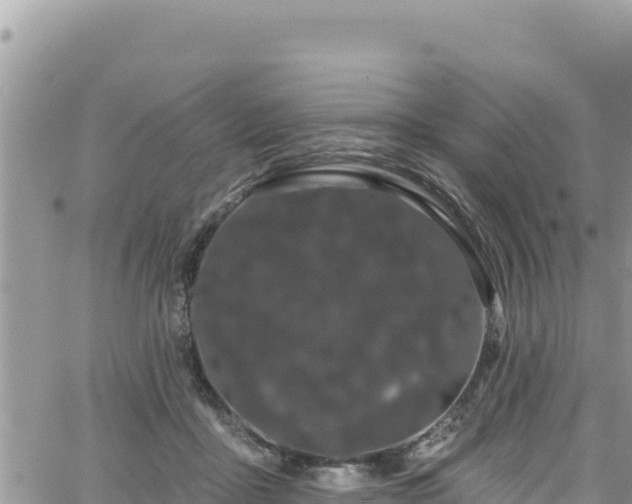 X0000065260411200602211255