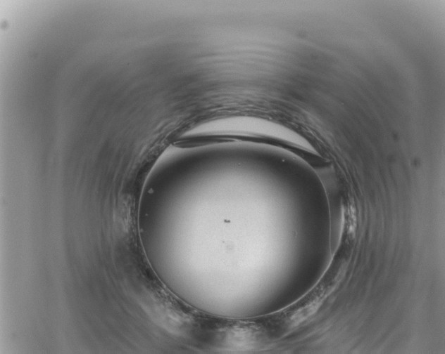 X0000065260412200602211255