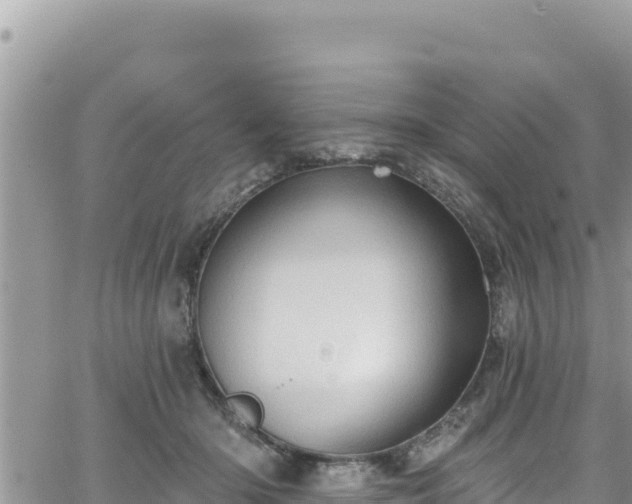 X0000065260414200602211255