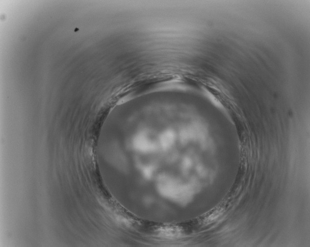 X0000065260415200602211255