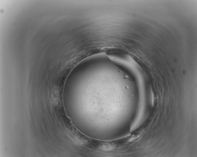 X0000065260416200602211255