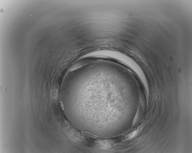 X0000065260417200602211255