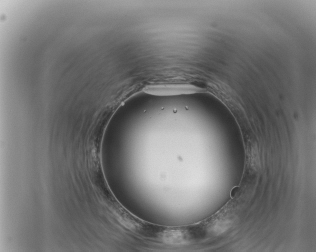 X0000065260418200602211255