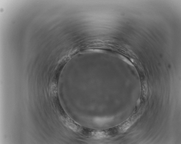 X0000065260419200602211255