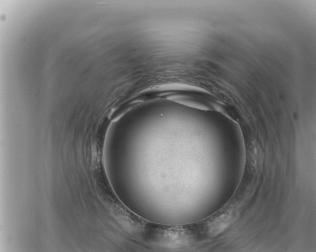 X0000065260420200602211255