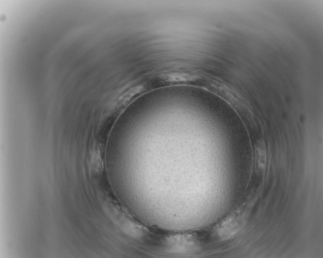 X0000065260422200602211255