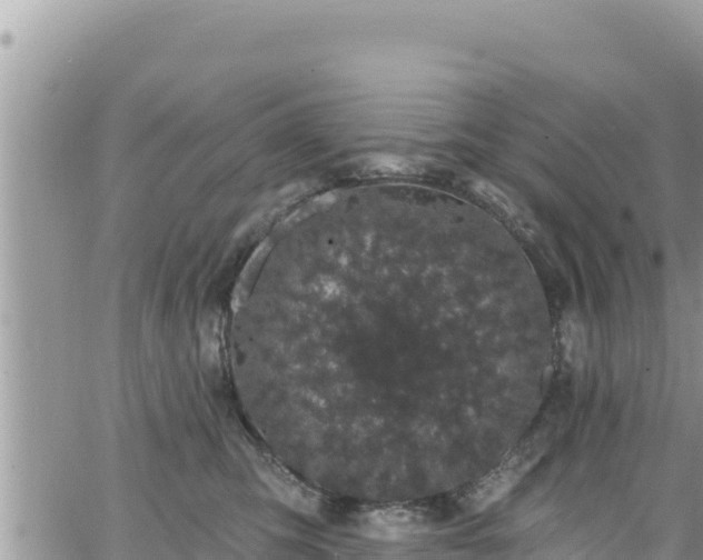 X0000065260423200602211254