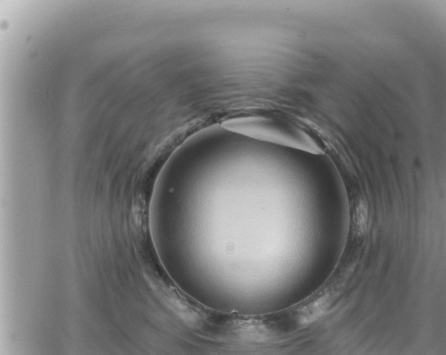 X0000065260424200602211254