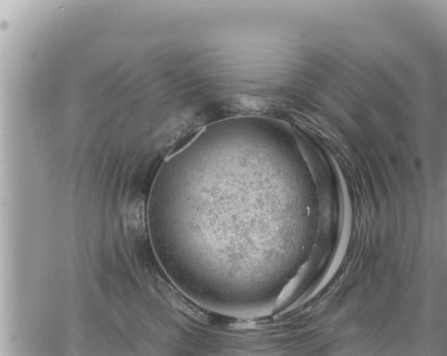 X0000065260425200602211254