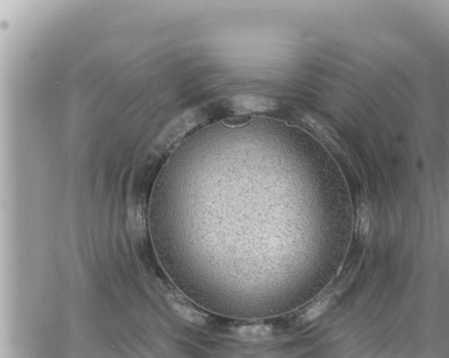 X0000065260426200602211254