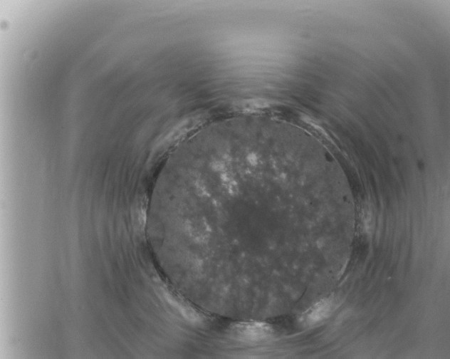 X0000065260427200602211254