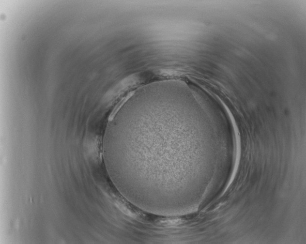 X0000065260428200602211254