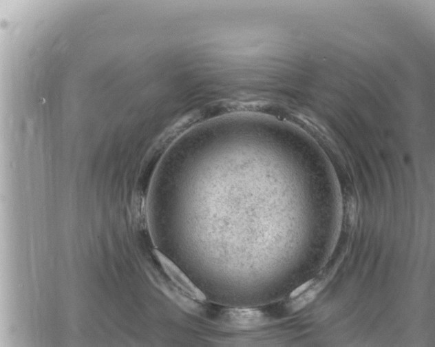 X0000065260429200602211254