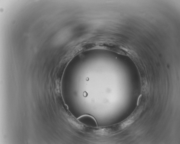 X0000065260430200602211254