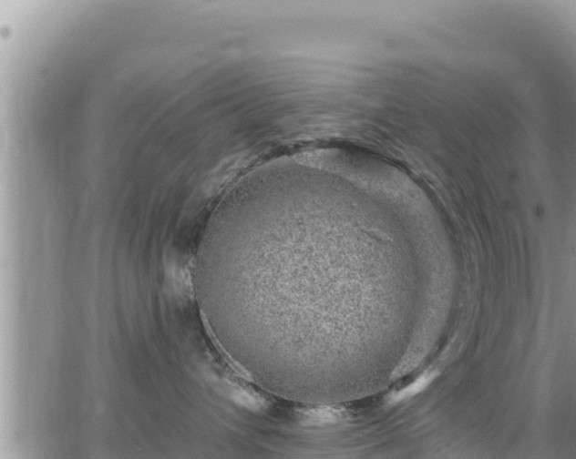 X0000065260432200602211254