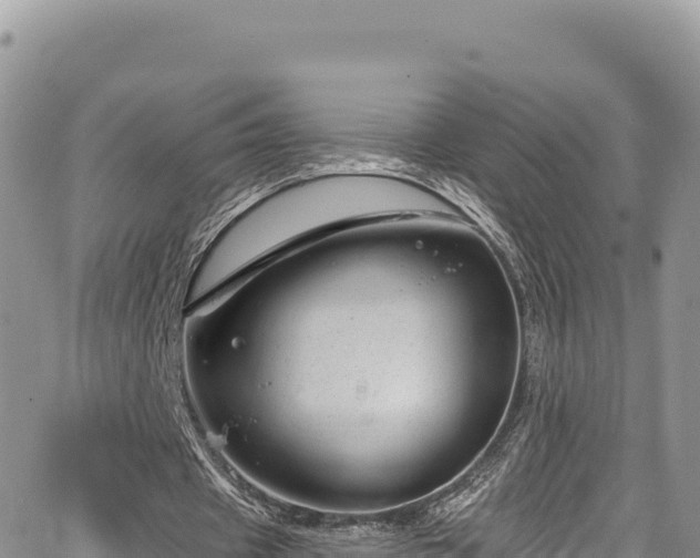 X0000065260433200602211254