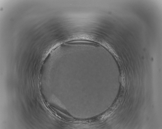 X0000065260434200602211254