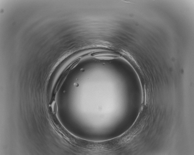 X0000065260435200602211254