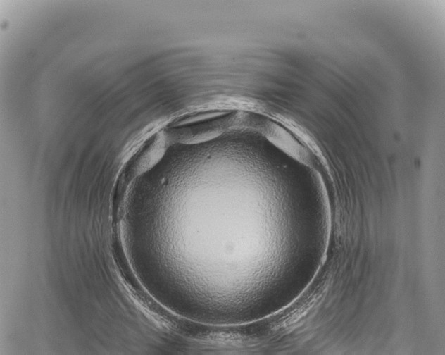 X0000065260437200602211254