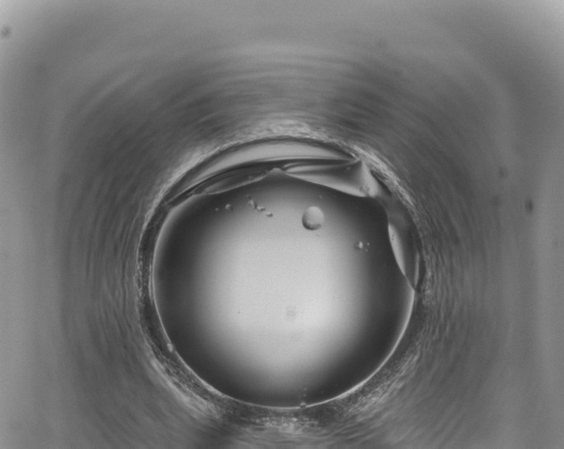 X0000065260439200602211254