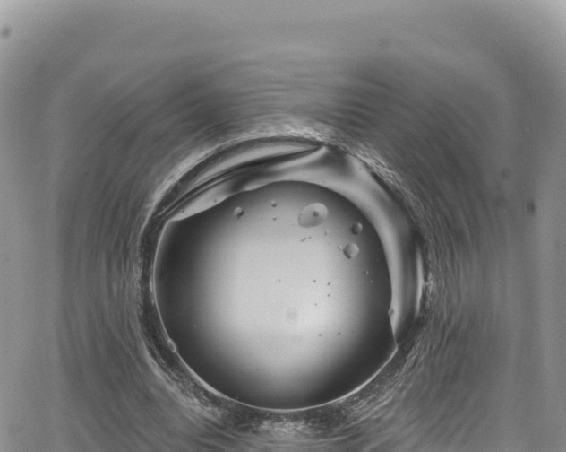 X0000065260440200602211254