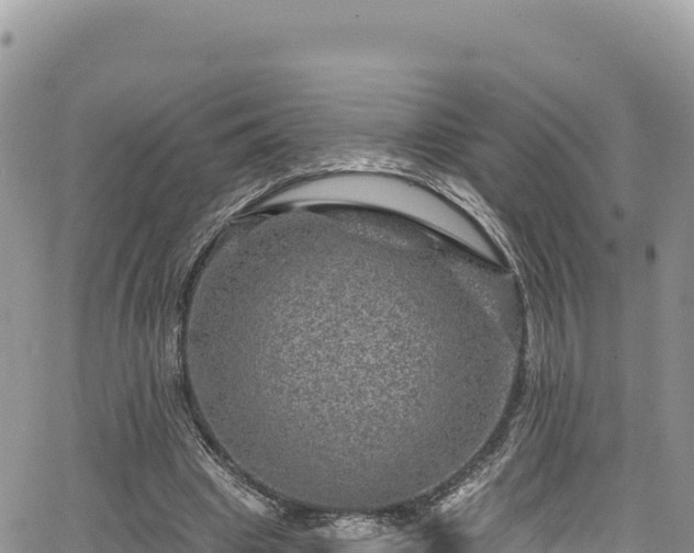 X0000065260441200602211254