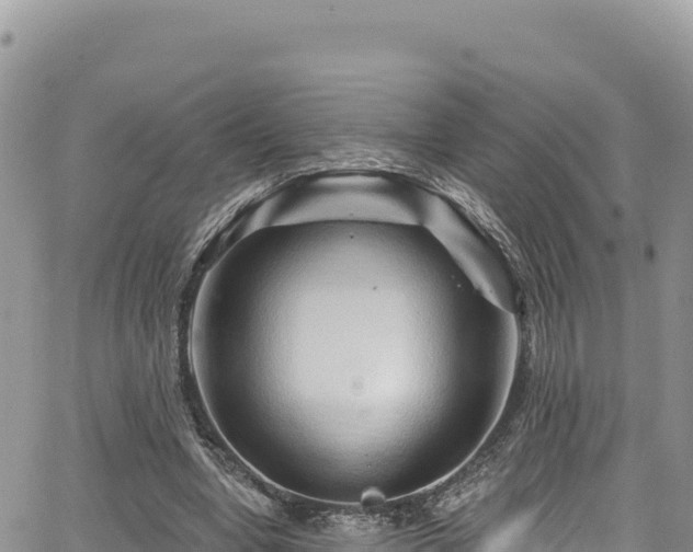 X0000065260442200602211254