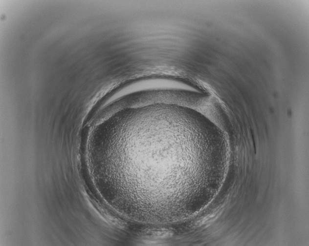 X0000065260443200602211254