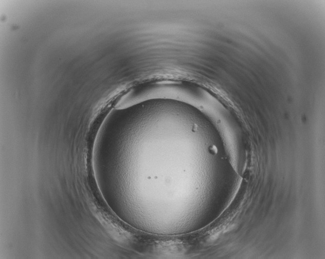 X0000065260446200602211254