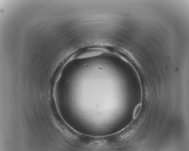 X0000065260447200602211254