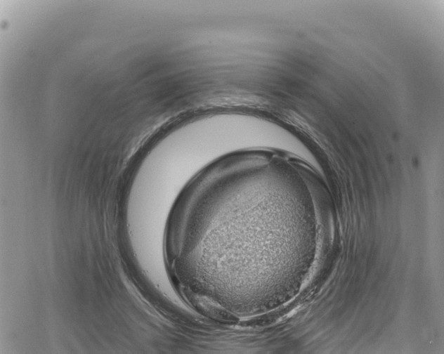 X0000065260448200602211254