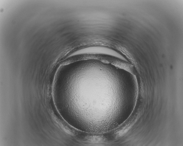 X0000065260449200602211254