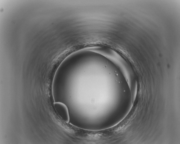 X0000065260450200602211254