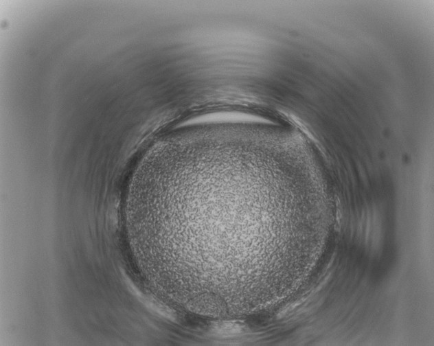 X0000065260451200602211254