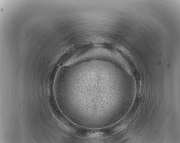 X0000065260452200602211254