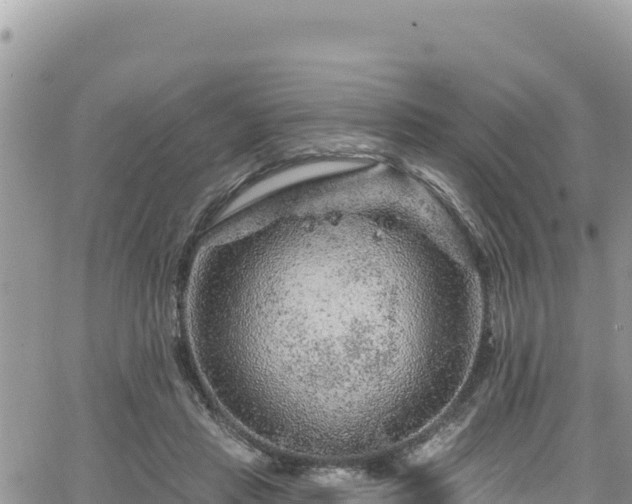 X0000065260453200602211254