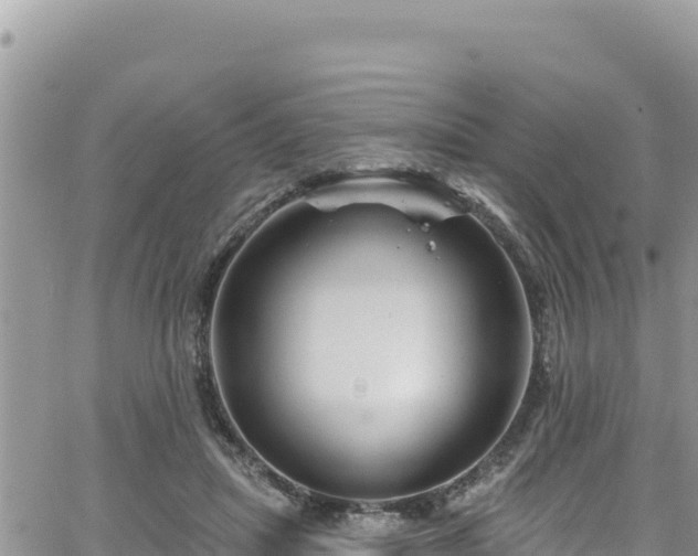 X0000065260455200602211254