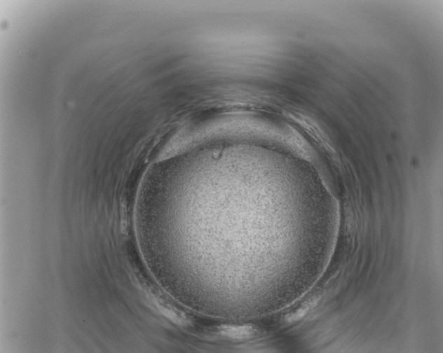 X0000065260457200602211254