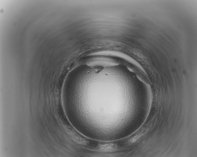 X0000065260461200602211254