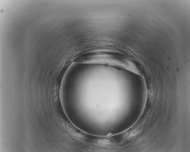 X0000065260462200602211254