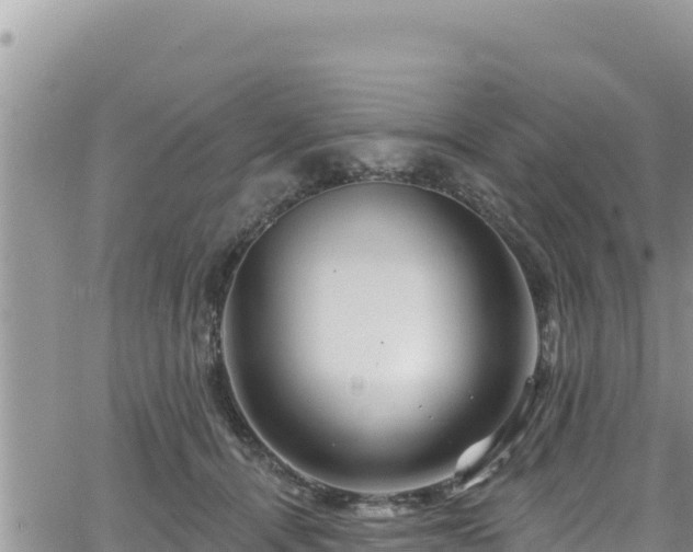 X0000065260464200602211254