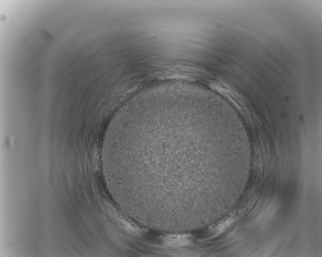 X0000065260465200602211254