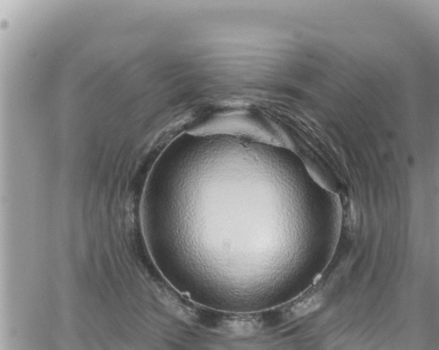 X0000065260466200602211254