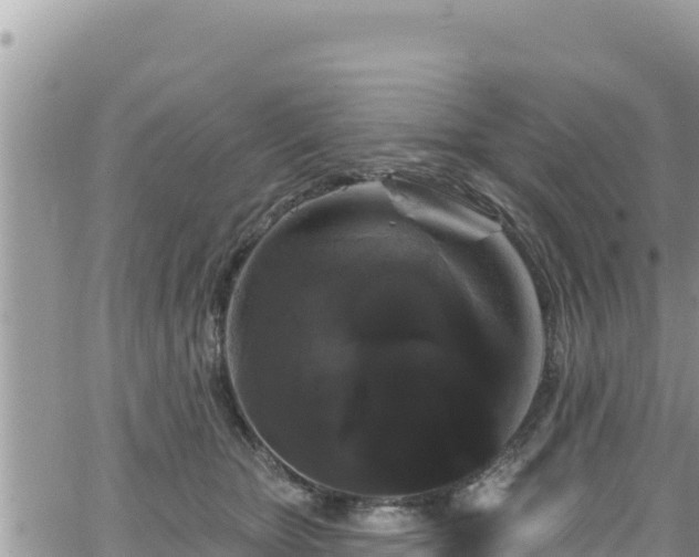 X0000065260467200602211254