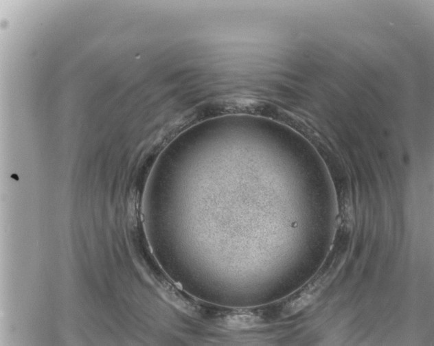 X0000065260468200602211254